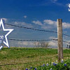 Wolf Insurance Agency Windthorst, TX Home, Auto